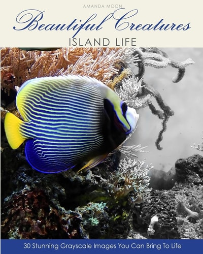 Beautiful Creatures Island Life