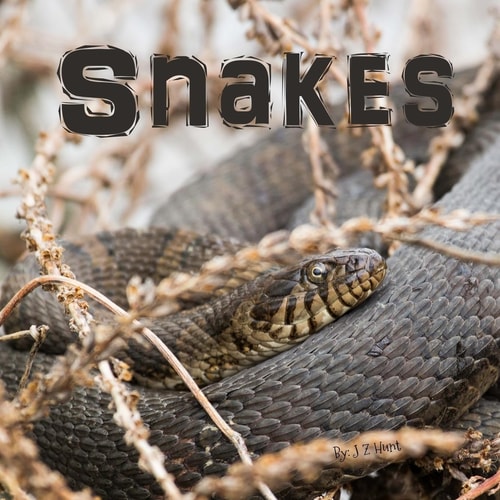 Snakes