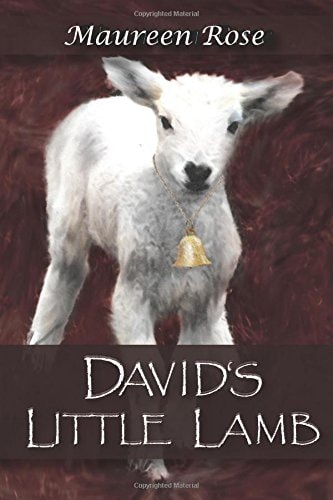 David's Little Lamb