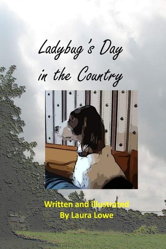 Ladybug's Day in the Country
