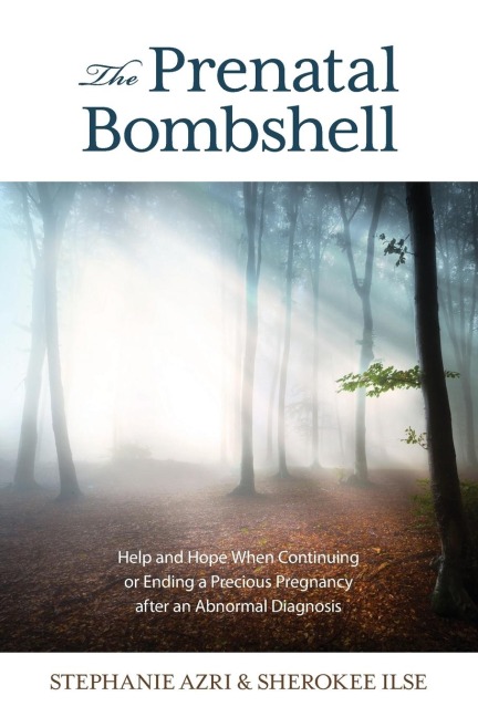 Prenatal Bombshell: Help and Hope When Continuing or Ending a Precious Pregnancy After an Abnormal Diagnosis
