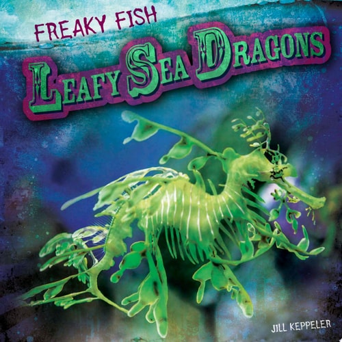 Leafy Sea Dragons