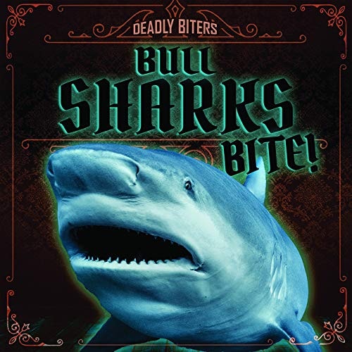 Bull Sharks Bite!