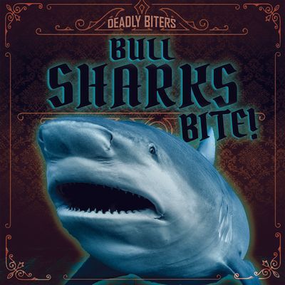 Bull Sharks Bite!