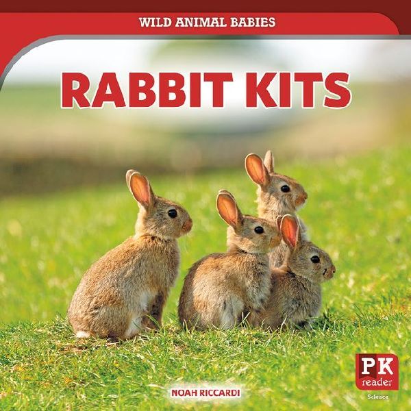 Rabbit Kits
