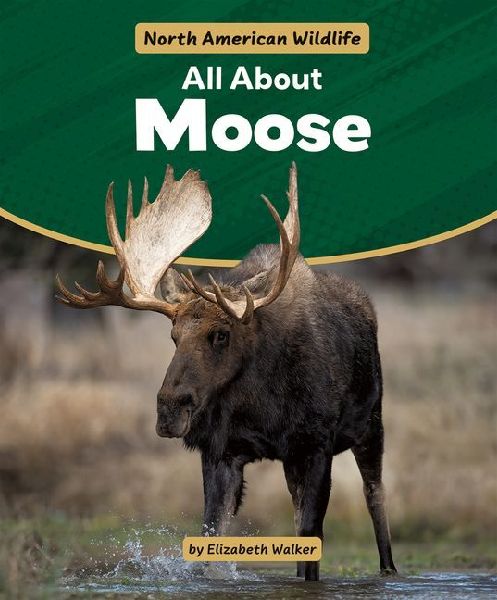 All about Moose
