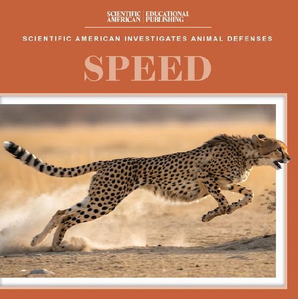 Speed