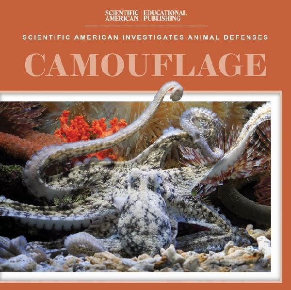 Camouflage