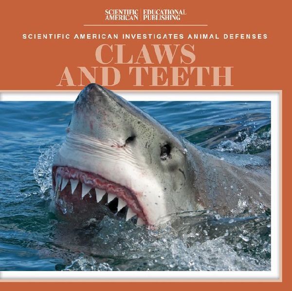 Claws and Teeth