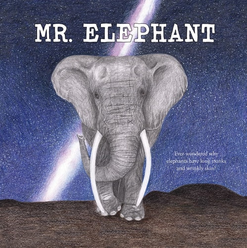 Mr. Elephant
