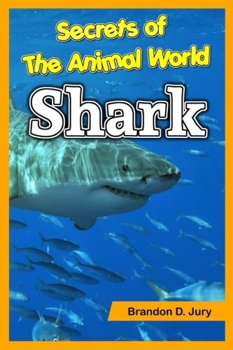 Secrets of The Animal World Elephant Children's Animals Books