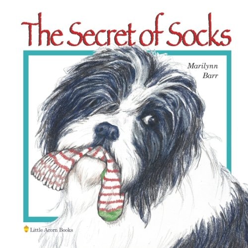 The Secret of Socks