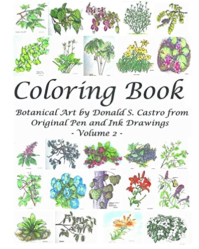 Botanical Art Coloring Book - Volume 2 From Original Pen and Ink Drawings