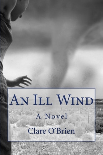 An Ill Wind A Novel