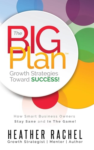 The B.I.G. Plan How Smart Business Owners Stay Sane and In The Game