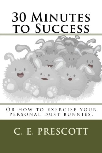 30 Minutes to Success Or How to Exercise Your Personal Dust Bunnies