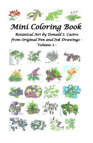 Mini Botanical Art Volume 2 From Original Pen and Ink Drawings