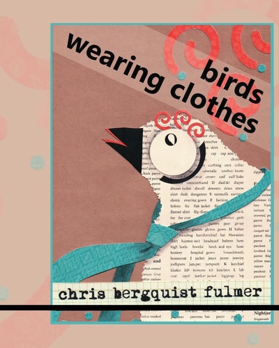 Birds Wearing Clothes Picture Book Full of Humorous Silly Birds