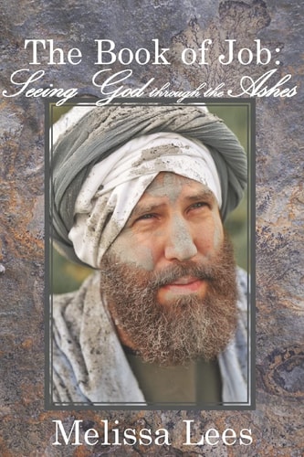 The Book of Job Seeing God Through the Ashes