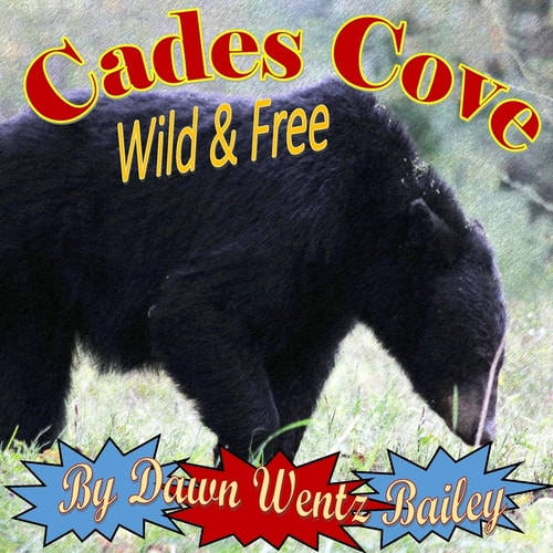Cades Cove Wild and Free