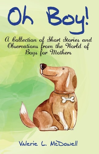 Oh Boy! A Collection of Short Stories and Observations from the World of Boys for Mothers