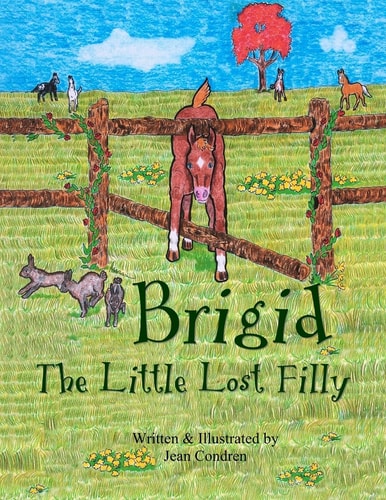 Brigid, The Little Lost Filly