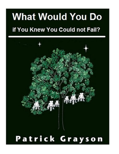 What Would You Do If You Knew You Could Not Fail?