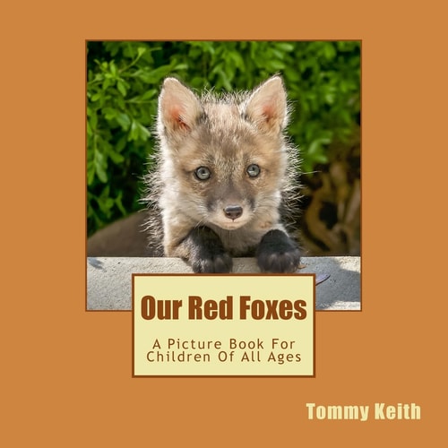 Our Red Foxes A Picture Book For Children Of All Ages