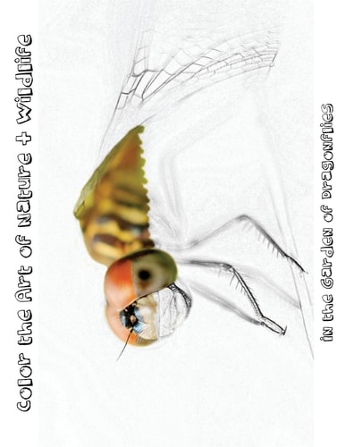 In the Garden of Dragonflies [Line Drawings] Color the Art of Nature + Wildlife