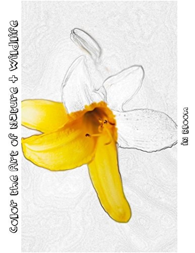 In Bloom [Line Drawing] Color the Art of Nature + Wildlife