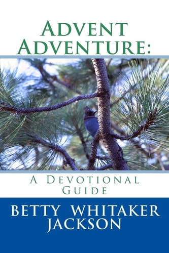 Advent Adventure A Devotional Guide