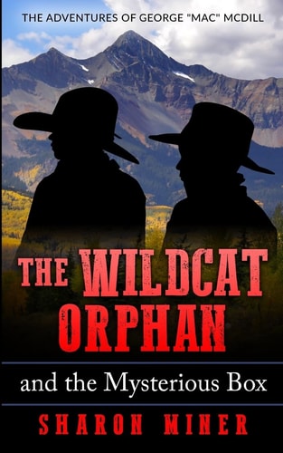 The Wildcat Orphan and the Mysterious Box