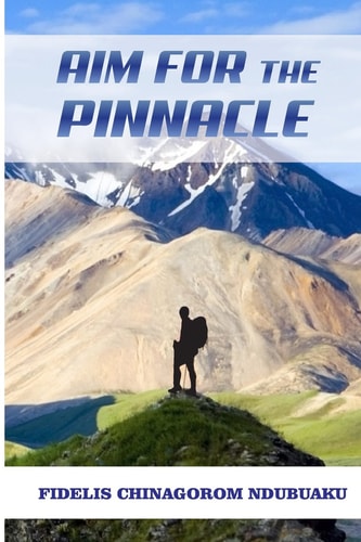 Aim For The Pinnacle Take the Risk and Break Limits