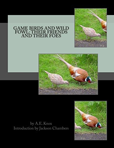 Game Birds and Wild Fowl Their Friends and Their Foes