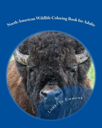 North American Wildlife Coloring Book for Adults Let's Get Wild