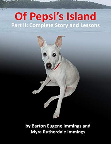 Of Pepsi's Island Part II: Complete Story and Lessons