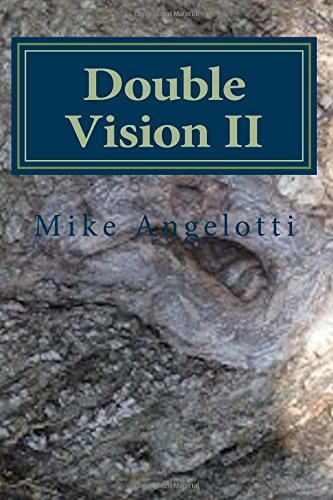 Double Vision II Living A Poet's Life in Paint, Photo and Word