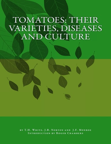 Tomatoes Their Varieties, Diseases and Culture