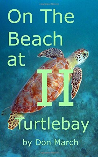 On the Beach @ Turtlebay II