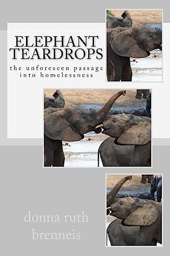 Elephant Teardrops The Unforeseen Passage Into Homelessness
