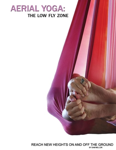 Aerial Yoga The Low Fly Zone