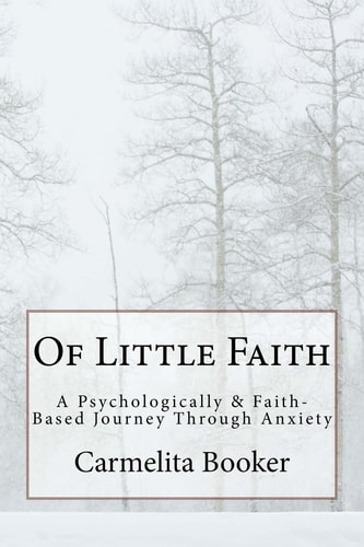 Of Little Faith A Psychologically and Faith-Based Journey Through Anxiety