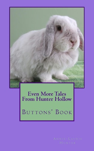 Even More Tales From Hunter Hollow Buttons' Book
