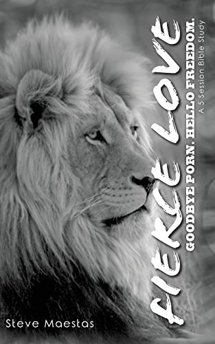 Fierce Love - Goodbye Porn. Hello Freedom.