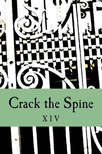 Crack the Spine XIV