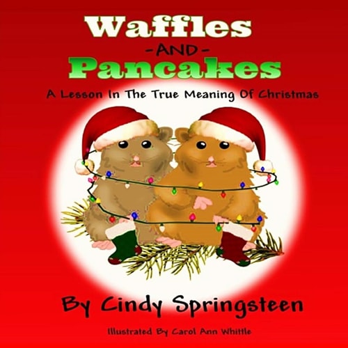 Waffles And Pancakes A Lesson In The True Meaning Of Christmas