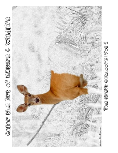 The Great Outdoors [Line Drawings] Color the Art of Nature + Wildlife
