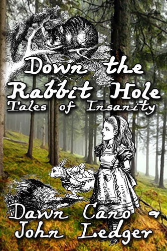 Down the Rabbit Hole Tales of Insanity