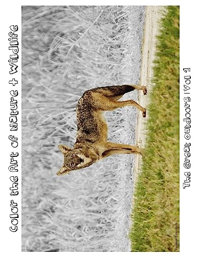 The Great Outdoors Color the Art of Nature + Wildlife