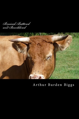 Bruised, Battered and Bewildered A True Story of an Alcoholics Life